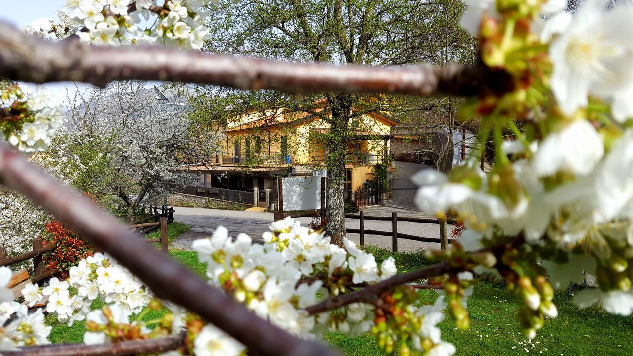 Agriturismo Aria Fina Villa Mormanno Exterior photo